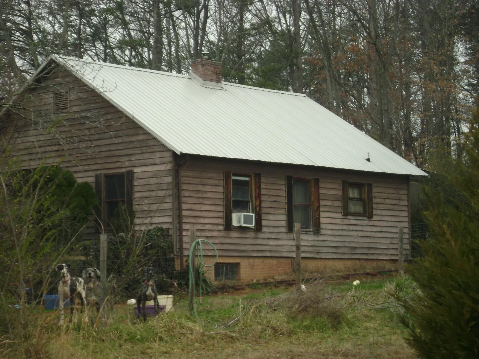 White metal roof on an old wood sided farmhouse, from a Asphalt Shingle Roof Repair job in South Rockwood